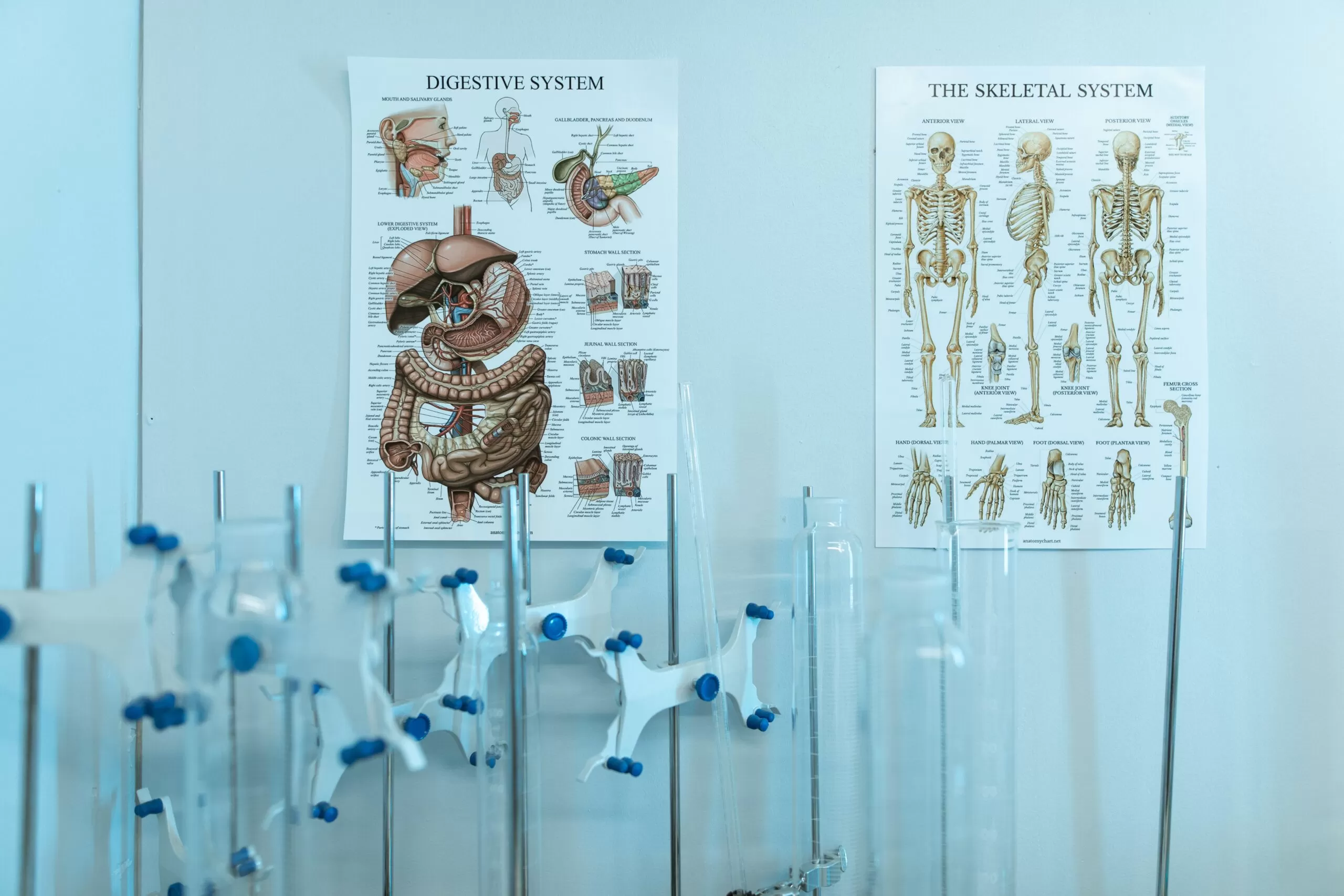 Mbbs In Russia 3 Scaled