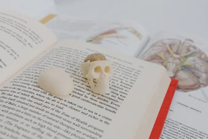 study-mbbs-in-russia